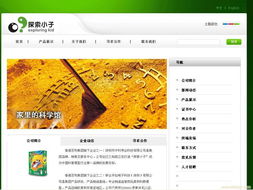 網贏寶 開啟企業網站建設與數字營銷新紀元